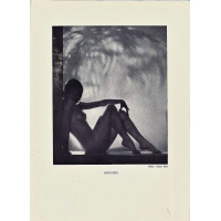 Livros/Acervo/N/NUDES OF 5